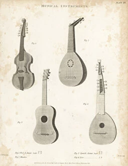 Viol d'amour, mandore, Spanish guitar and lute