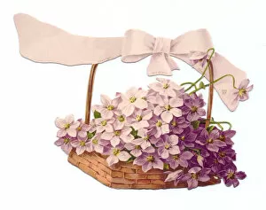 Images Dated 3rd December 2015: Violets in a basket on a cutout greetings card