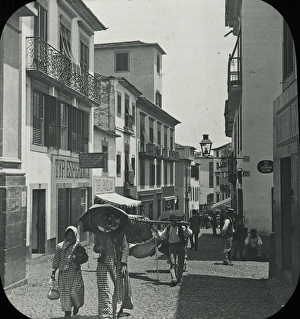 Visit to Madeira - A Business Street in Funchal
