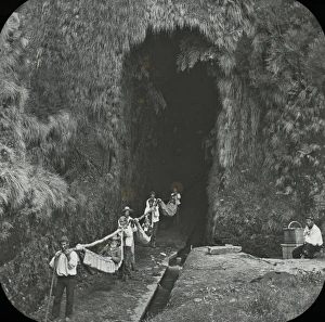 Tunnel Gallery: Visit to Madeira - The Levada Tunnel