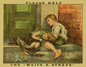 Images Dated 26th June 2012: Waifs and Strays Society Advertisement