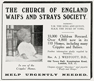 Waifs and Strays Society Adverstisement Waifs and Strays Society Adverstisement