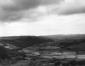 Cardiganshire Gallery: Wales / Rheidol Valley