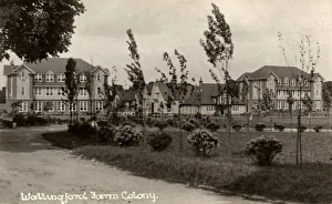 Wallingford Farm Colony Wallingford Farm Colony