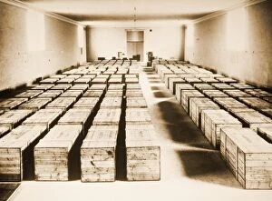 Images Dated 2nd July 2014: Walter Rothschild Bird skin collection, 1933