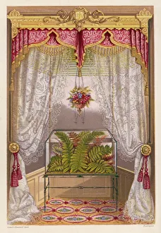 Wardian case containing ferns, in a window Wardian case containing ferns, in a window