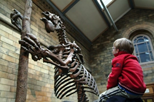 Waterhouse Way, the Natural History Museum Waterhouse Way, the Natural History Museum
