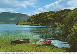 Waterlilly Bay, Currane Lake, Ring of Kerry Waterlilly Bay, Currane Lake, Ring of Kerry