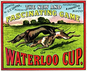<b class=qtipBold><figcaption>Waterloo Cup game</figcaption></b><br>Waterloo Cup greyhound racing board game, 1909 Date: 1909<br><em>© Mary Evans / National Archives</em> Waterloo Cup game