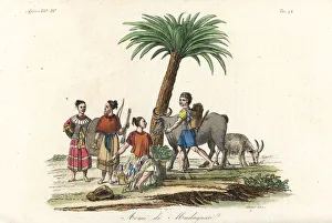 Weapons of the Malagasy people of Madagascar Weapons of the Malagasy people of Madagascar