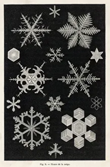 <b class=qtipBold><figcaption>Weather/Snow</figcaption></b><br>Snow crystals<br><em>© Mary Evans Picture Library</em> Weather/Snow