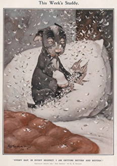 <b class=qtipBold><figcaption>This Week's Studdy - (Pillow)</figcaption></b><br>Bandaged paw looking pleased with himself following the destruction of an eiderdown pillow.George Ernest Studdy (1878-1948), was the creator of 'Bonzo', a small dog with saucer-like eyes and indiscriminate breeding who first appeared in the Sketch in 1922. The 'Bonzo' craze swept the world resulting in postcards, annuals, toys and other merchandise. Studdy also produced a large body of work for the Sketch before and after Bonzo including his later creation, Ooloo the cat. His early cartoon dogs were simply known as the 'Studdy Dog' until readers demanded a name and Bruce Ingram, the ILN editor, suggested his immortal moniker. Credit should read: Estate of George Studdy/Gresham Marketing Ltd./ILN/Mary Evan"<br><em>© Estate of George Studdy/Gresham Marketing Ltd./ILN/Mary Evans</em> This Week's Studdy - (Pillow)