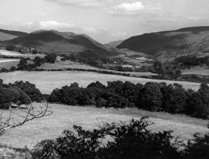 Cardiganshire Gallery: Welsh countryside near Hafod