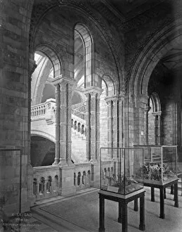 Images Dated 12th July 2013: West corridor, the Natural History Museum 1882