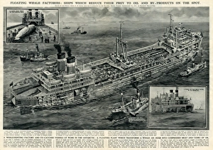 Processing Gallery: Whale hunting vessel and factory by G. H. Davis