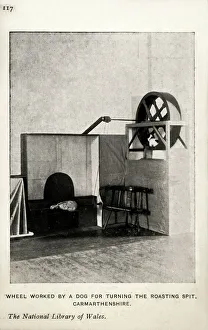 Mechanical Gallery: Wheel worked by dog - turning roasting spit, Carmarthenshire