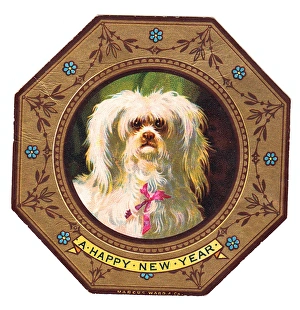White dog on plate design on a New Year card White dog on plate design on a New Year card