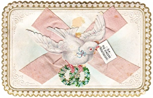 White dove on an Italian greetings card White dove on an Italian greetings card