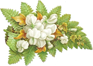 White flowers and a fern on a cutout Christmas card White flowers and a fern on a cutout Christmas card