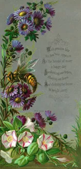 Wasps Gallery: White and purple flowers on a New Year card