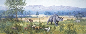 White River scene, late Eocene White River scene, late Eocene
