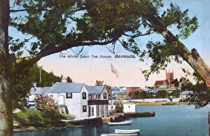 Overseas Collection: The White Swan Tea House, Hamilton, Bermuda