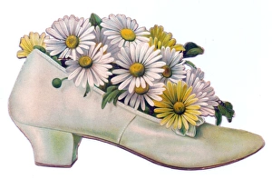 White and yellow daisies in a shoe-shaped greetings card White and yellow daisies in a shoe-shaped greetings card