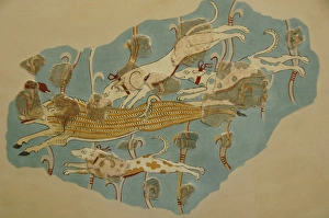 Wild boar hunting. Fresco dated between 14th and 13th centur Wild boar hunting. Fresco dated between 14th and 13th centur