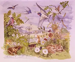 Malcolm Greensmith Artwork Prints: Wildlife scene