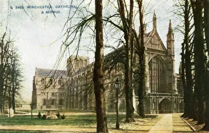 Winchester Cathedral, Winchester, Hampshire Winchester Cathedral, Winchester, Hampshire