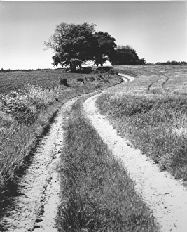 Winding country path - Bix, Oxfordshire Winding country path - Bix, Oxfordshire