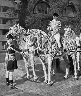 The Windsor Greys in their Coronation Harness The Windsor Greys in their Coronation Harness