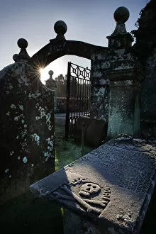 Winter sun highlights a skull & crossbones on a tomb