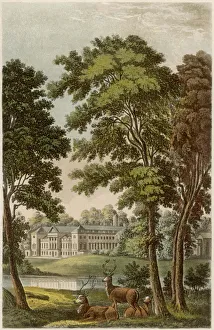 Woburn Abbey/Ackermann