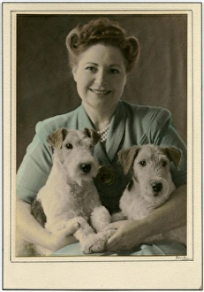 Woman with two Airedale Terrier dogs Woman with two Airedale Terrier dogs