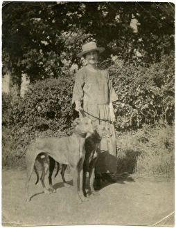 Woman with two dogs on a country lane Woman with two dogs on a country lane
