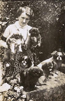 Woman with Pekingese dogs and puppies in a garden Woman with Pekingese dogs and puppies in a garden
