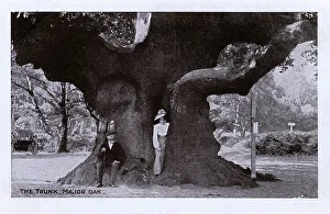Robur Gallery: A Woman standing in the trunk of the Major Oak, Sherwood