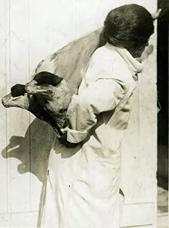 Woman working in cold storage carrying meat, WW1 Woman working in cold storage carrying meat, WW1