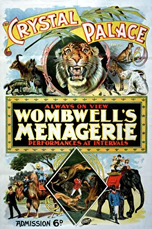<b class=qtipBold><figcaption>Wombwell's Menagerie</figcaption></b><br>Wombwell's Menagerie, Crystal Palace, 1897 Date: 1897<br><em>© Mary Evans / National Archives</em> Wombwell's Menagerie