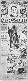 Reptiles Gallery: Wombwells Poster