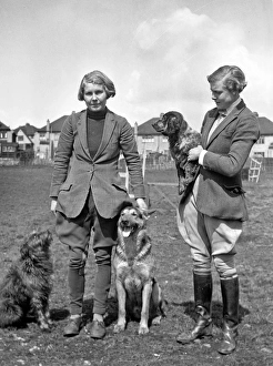 Two women with three dogs in a field Two women with three dogs in a field