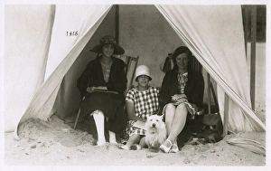 Three women in a tent on a beach with a white terrier Three women in a tent on a beach with a white terrier