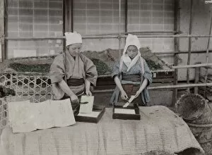 Worms Gallery: Women working with silk worms, Japan