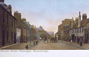 East Lothian Gallery: 