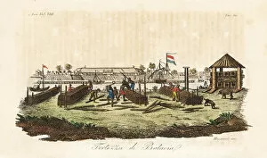 Bernieri Gallery: Workers building the Dutch fortress at Batavia