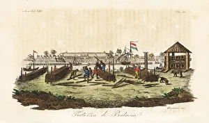 Workers building the Dutch fortress at Batavia Workers building the Dutch fortress at Batavia