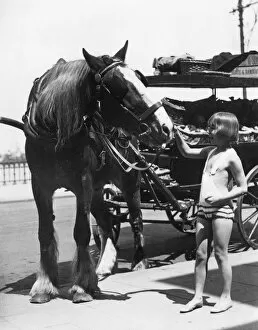 British Seaside Collection: Working Horse Lunch