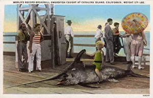 World Record Broadbill Swordfish Catalina Island, California World Record Broadbill Swordfish Catalina Island, California