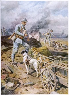 <b class=qtipBold><figcaption>World War I dog carts</figcaption></b><br>The French army use dogs to haul supplies to their trench positions.<br><em>© Mary Evans Picture Library</em> World War I dog carts